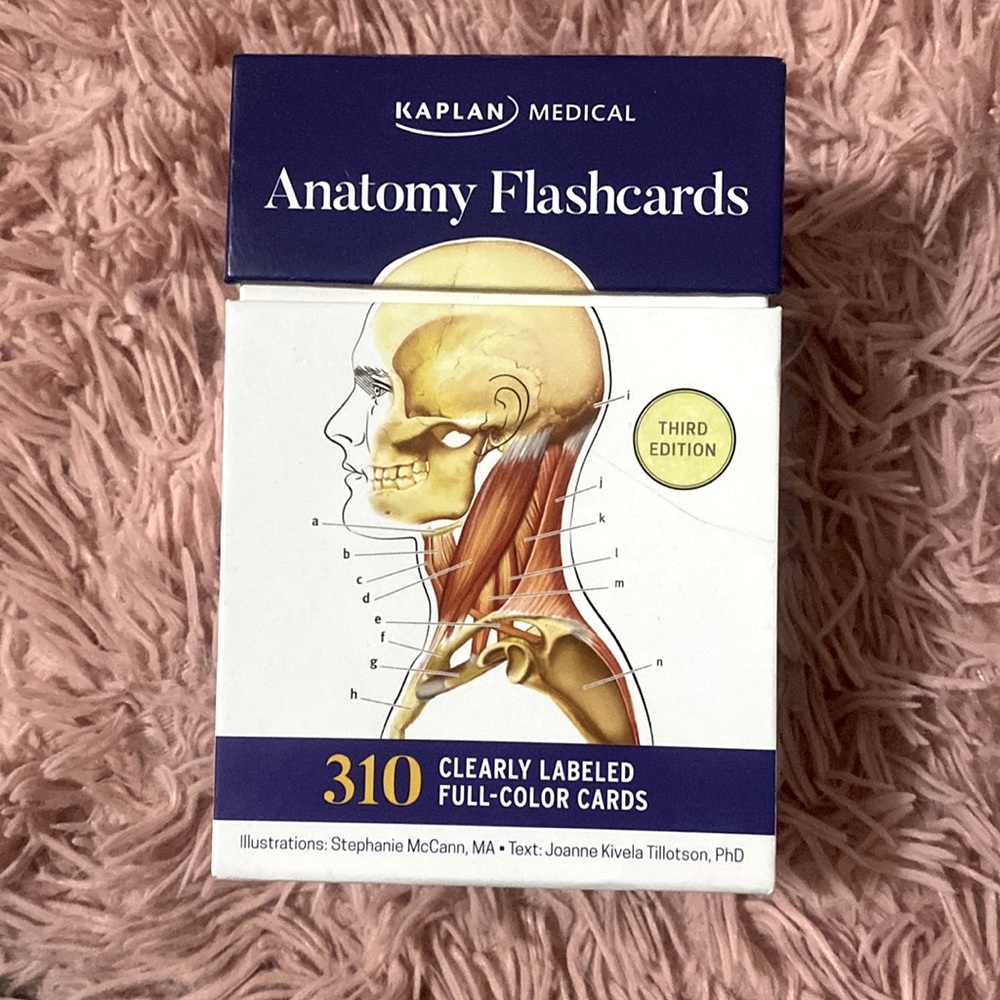 Anatomy Flashcards